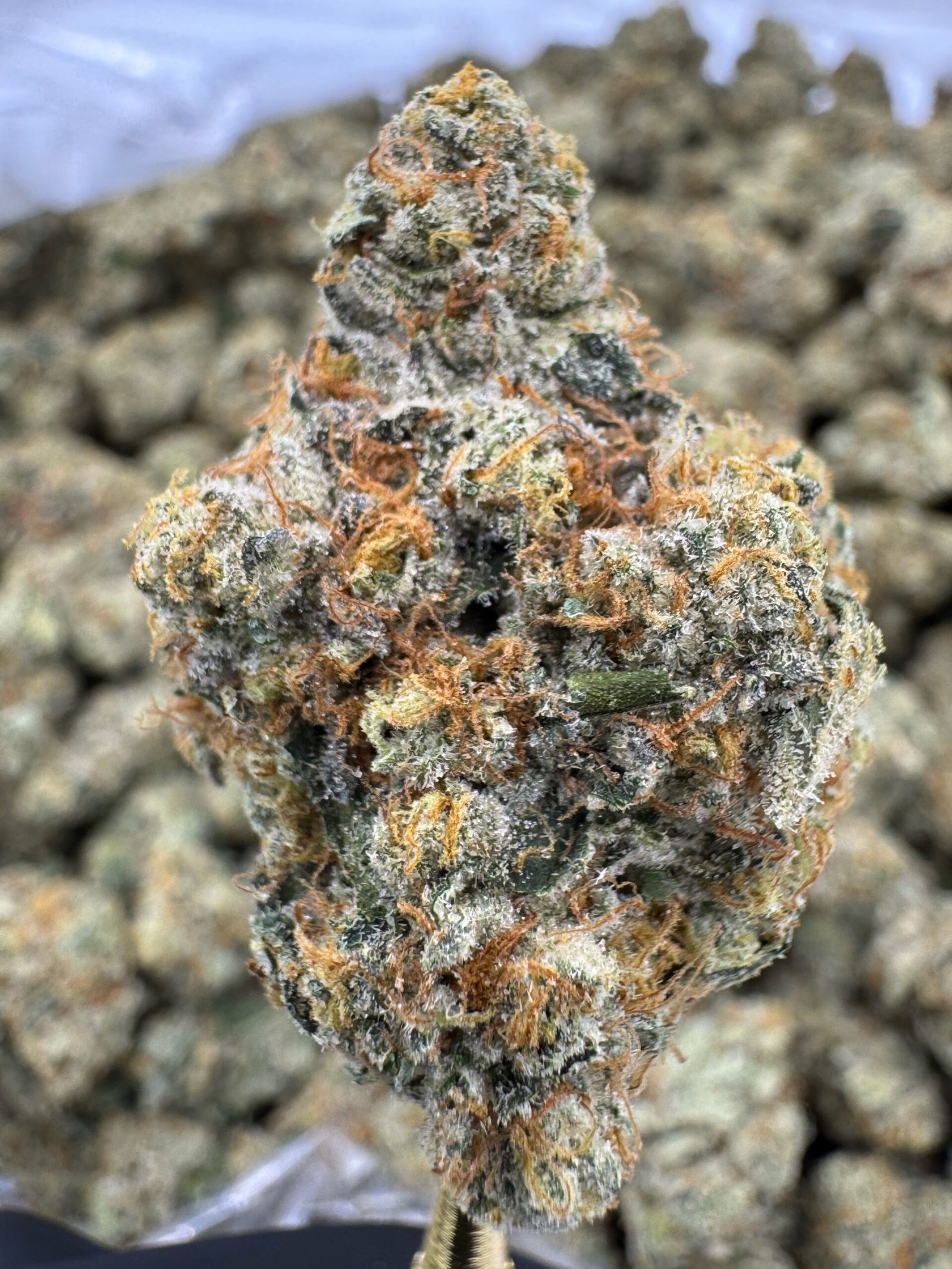 Ooh La La – Bulk THCA Flower (Indoor Pounds) 1 Ooh La La – Bulk THCA Flower (Indoor Pounds)