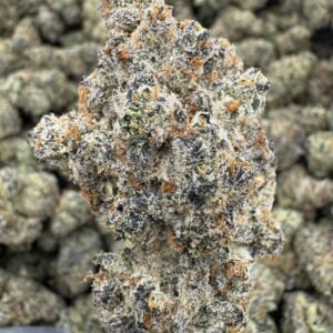 Permanent Marker – Bulk THCA Flower (Indoor Pounds)