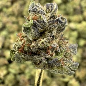Permanent Marker – Bulk THCA Flower (Greenhouse Pounds)