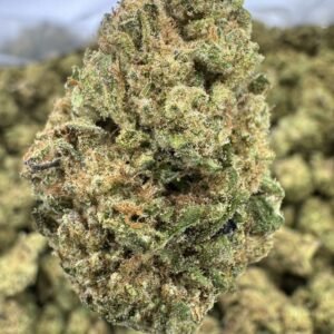 Permanent Marker – Bulk THCA Flower (Greenhouse Pounds)