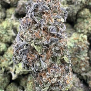 Pineapple Express – Bulk THCA Flower (Sungrown Pounds)