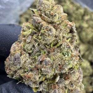 Pink Runtz – Bulk THCA Flower (Sungrown Pounds)