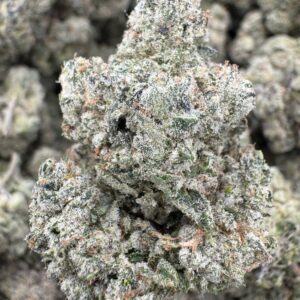 Pink Runtz – Bulk THCA Flower (Indoor Pounds)
