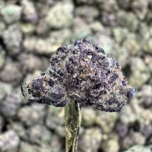 Pink Runtz – Bulk THCA Flower (Indoor Pounds)