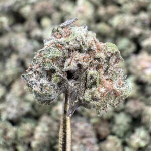 Pink Runtz – Bulk THCA Flower (Greenhouse Pounds)