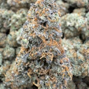 Planet Bang Bang – Bulk THCA Flower (Indoor Pounds)