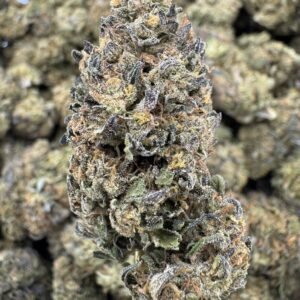 Platinum Cookies – Bulk THCA Flower (Sungrown Pounds)