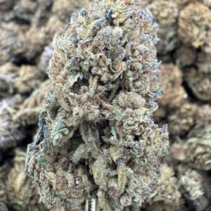 Rainbow Belts – Bulk THCA Flower (Sungrown Pounds)