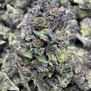 Rainbow Runtz – Bulk THCA Flower (Sungrown Pounds)