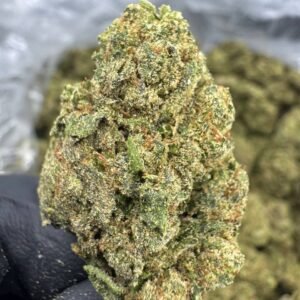 Rainbow Sherbet – Bulk THCA Flower (Indoor Pounds)