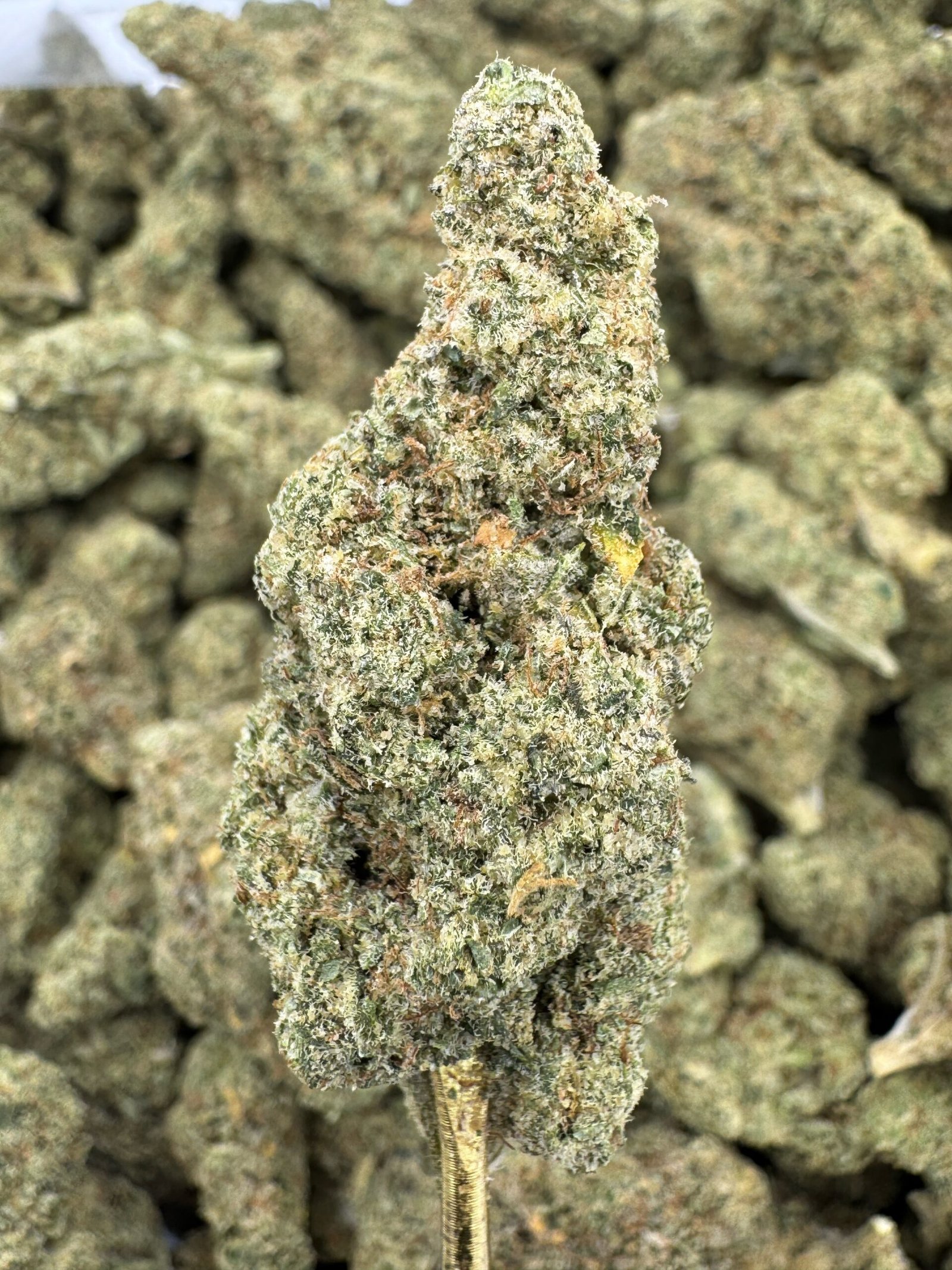 Rock Candy – Bulk THCA Flower (Indoor Pounds) 1 Rock Candy – Bulk THCA Flower (Indoor Pounds)