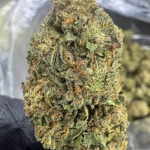 Runtz – Bulk THCA Flower (Sungrown Pounds)