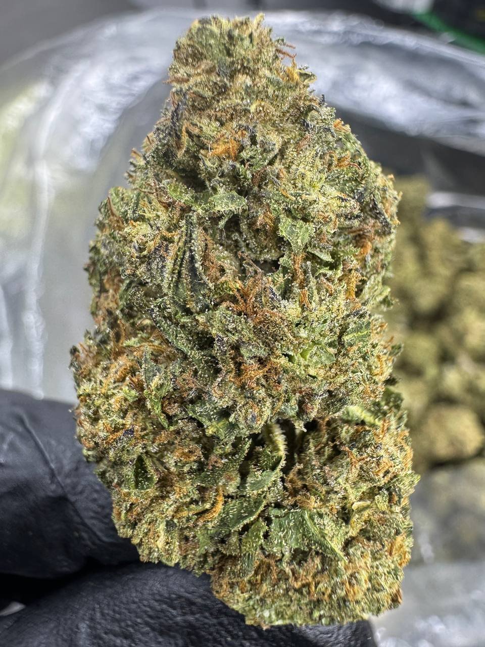 Runtz – Bulk THCA Flower (Sungrown Pounds) 1 Runtz – Bulk THCA Flower (Sungrown Pounds)
