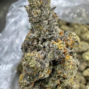 Runtz – Bulk THCA Flower (Indoor Pounds)
