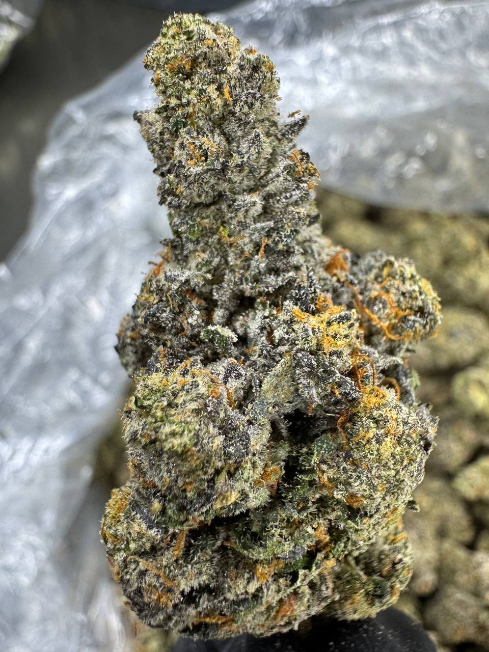 Runtz – Bulk THCA Flower (Indoor Pounds) 1 Runtz – Bulk THCA Flower (Indoor Pounds)
