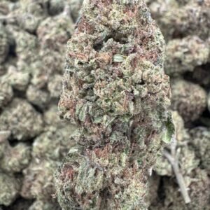 Runtz – Bulk THCA Flower (Greenhouse Pounds)