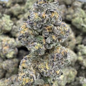 Sherlato – Bulk THCA Flower (Indoor Pounds)