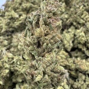 Silver Haze Kush – Bulk THCA Flower (Sungrown Pounds)