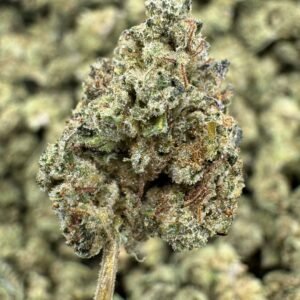Slaps – Bulk THCA Flower (Indoor Pounds)
