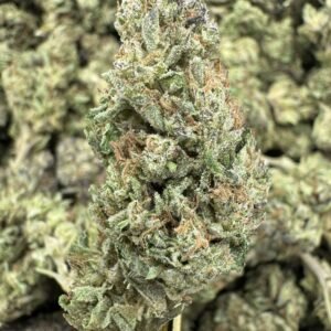 Slurricane X Grease Monkey – Bulk THCA Flower (Sungrown Pounds)