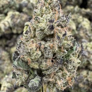 Snowball – Bulk THCA Flower (Indoor Pounds)