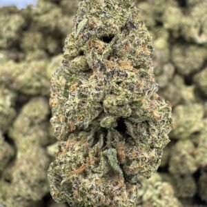 Snowman – Bulk THCA Flower (Indoor Pounds)