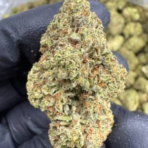 Sour Diesel – Bulk THCA Flower (Greenhouse Pounds)