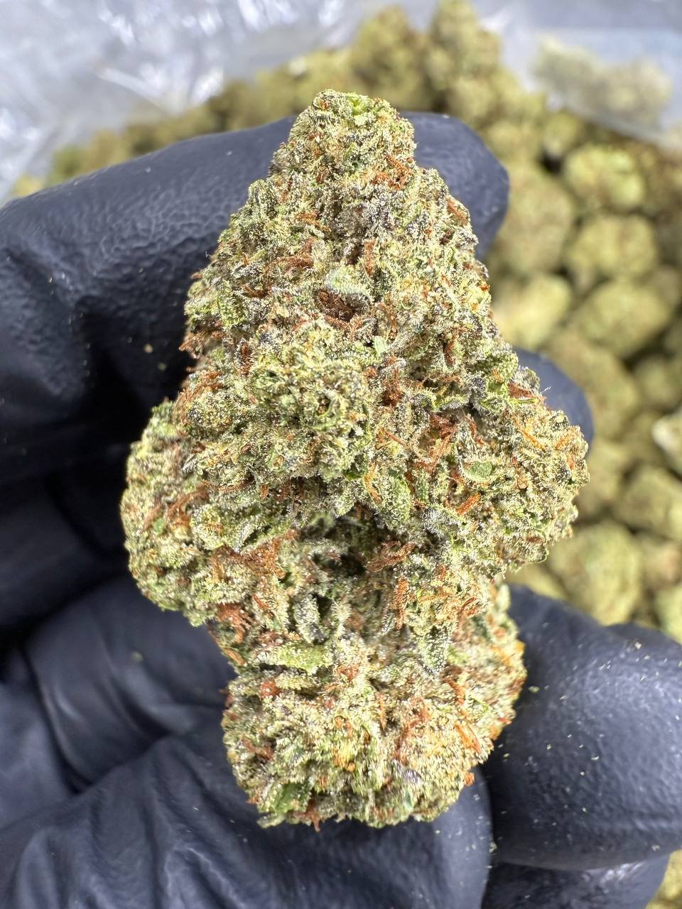 Sour Diesel – Bulk THCA Flower (Greenhouse Pounds) 1 Sour Diesel – Bulk THCA Flower (Greenhouse Pounds)