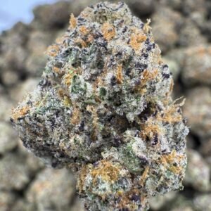Sour Cherry Gelato – Bulk THCA Flower (Indoor Pounds)