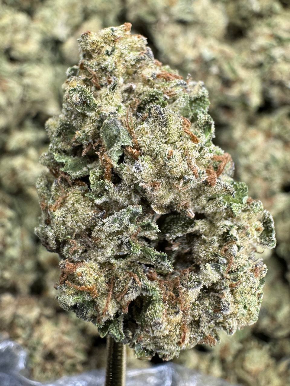 Sour Diesel – Bulk THCA Flower (Sungrown Pounds) 1 Sour Diesel – Bulk THCA Flower (Sungrown Pounds)