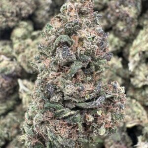 Sour Gary – Bulk THCA Flower (Sungrown Pounds)