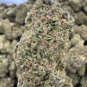 Spritzer – Bulk THCA Flower (Greenhouse Pounds)