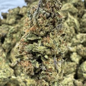 Strawberry Cough – Bulk THCA Flower (Sungrown Pounds)