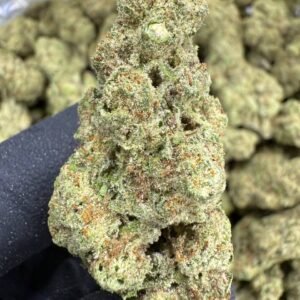 Strawberry Cough – Bulk THCA Flower (Greenhouse Pounds)