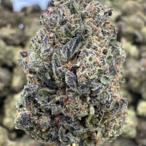 Sundae Driver – Bulk THCA Flower (Greenhouse Pounds)