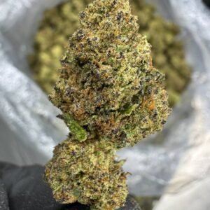 Sunset Sherbet – Bulk THCA Flower (Sungrown Pounds)