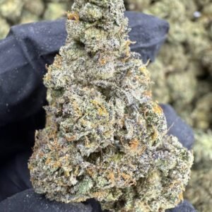 Sunset Sherbet – Bulk THCA Flower (Indoor Pounds)