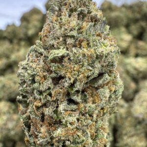 Sunset Sherbet – Bulk THCA Flower (Greenhouse Pounds)