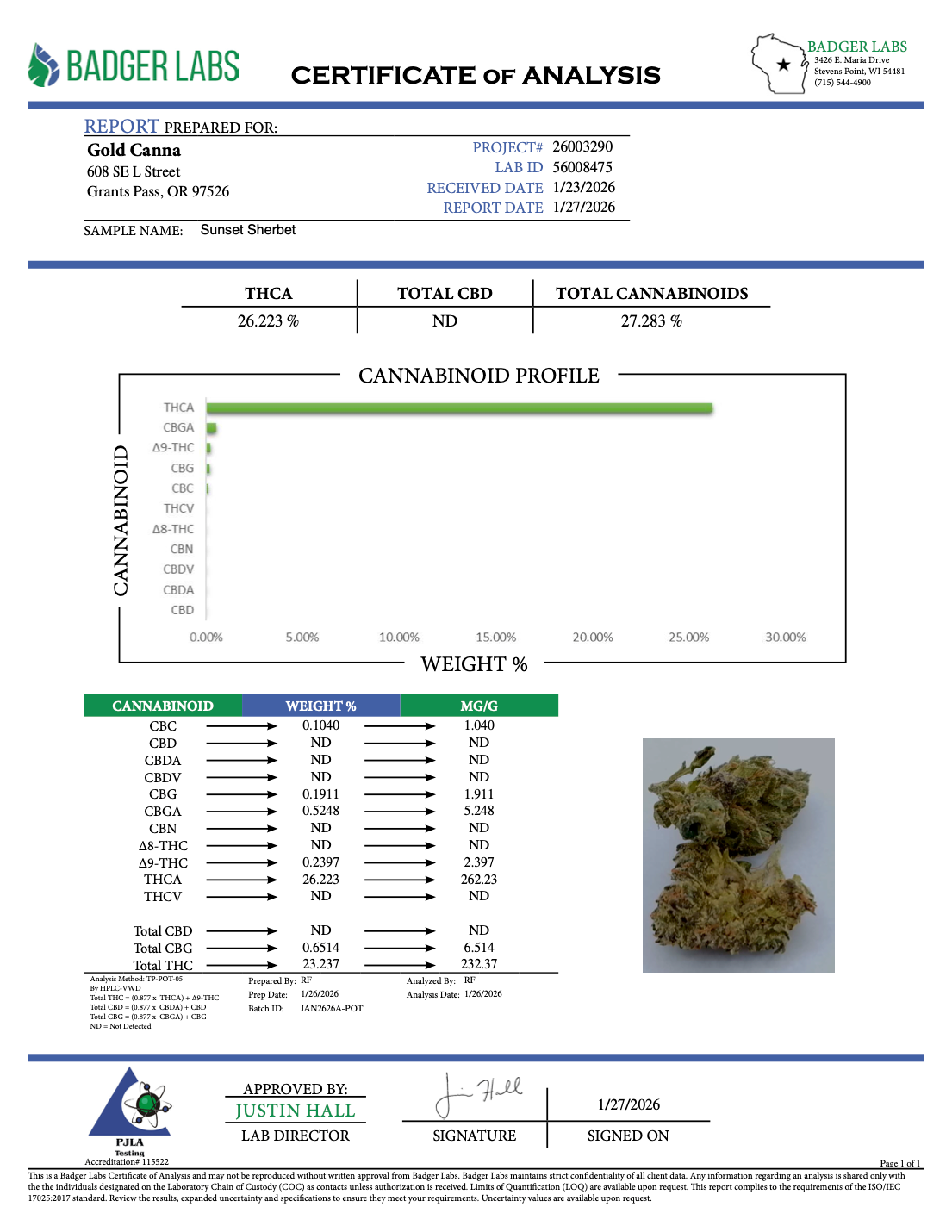 Sunset Sherbet – Bulk THCA Flower (Greenhouse Pounds) 2 Sunset Sherbet – Bulk THCA Flower (Greenhouse Pounds) - Image 2