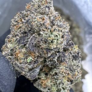 Super Runtz – Bulk THCA Flower (Indoor Pounds)