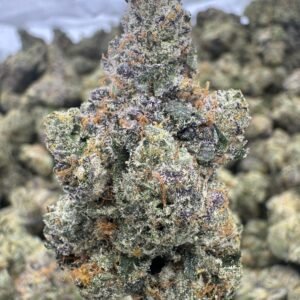 Tahoe OG – Bulk THCA Flower (Indoor Pounds)