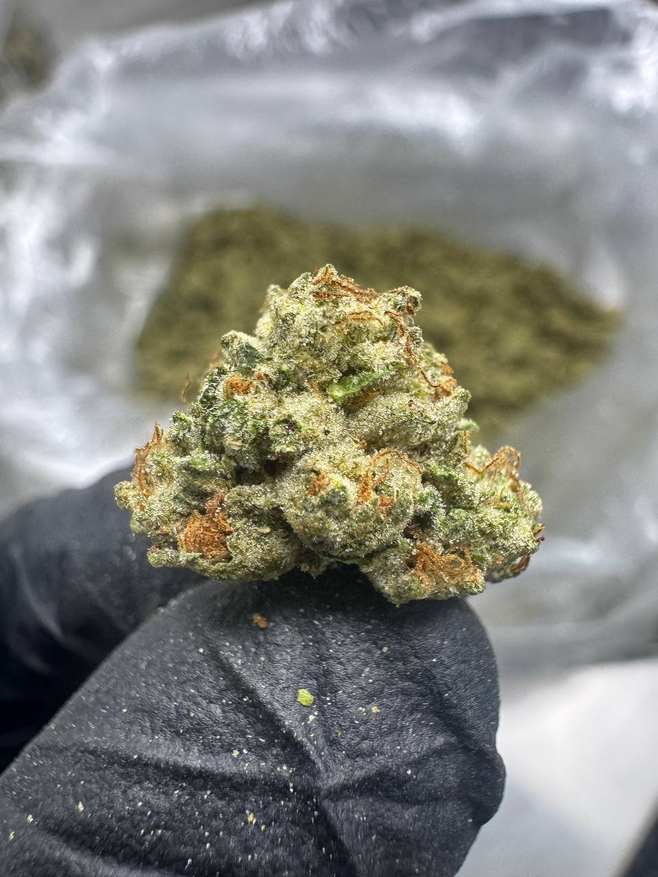 Triple Cake – Bulk THCA Flower (Greenhouse Pounds) 1 Triple Cake – Bulk THCA Flower (Greenhouse Pounds)