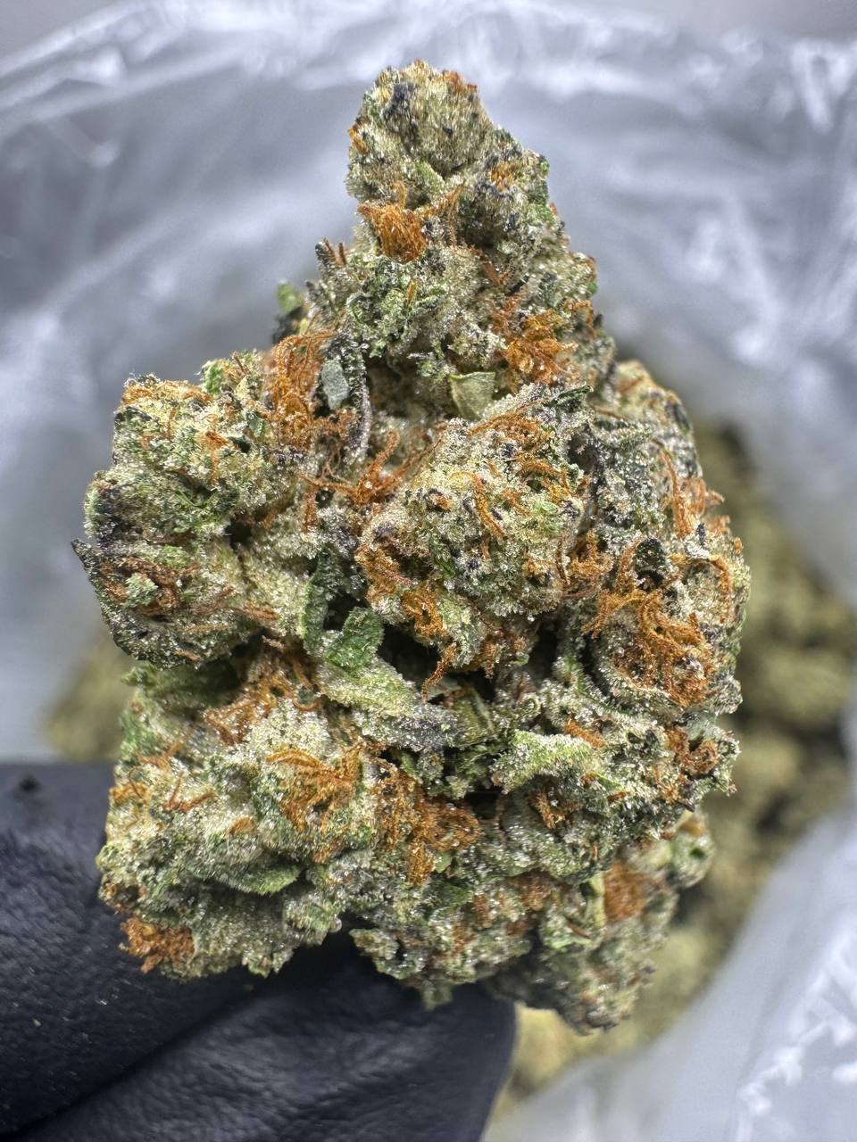 Triple Cake – Bulk THCA Flower (Greenhouse Pounds) 1 Triple Cake – Bulk THCA Flower (Greenhouse Pounds)