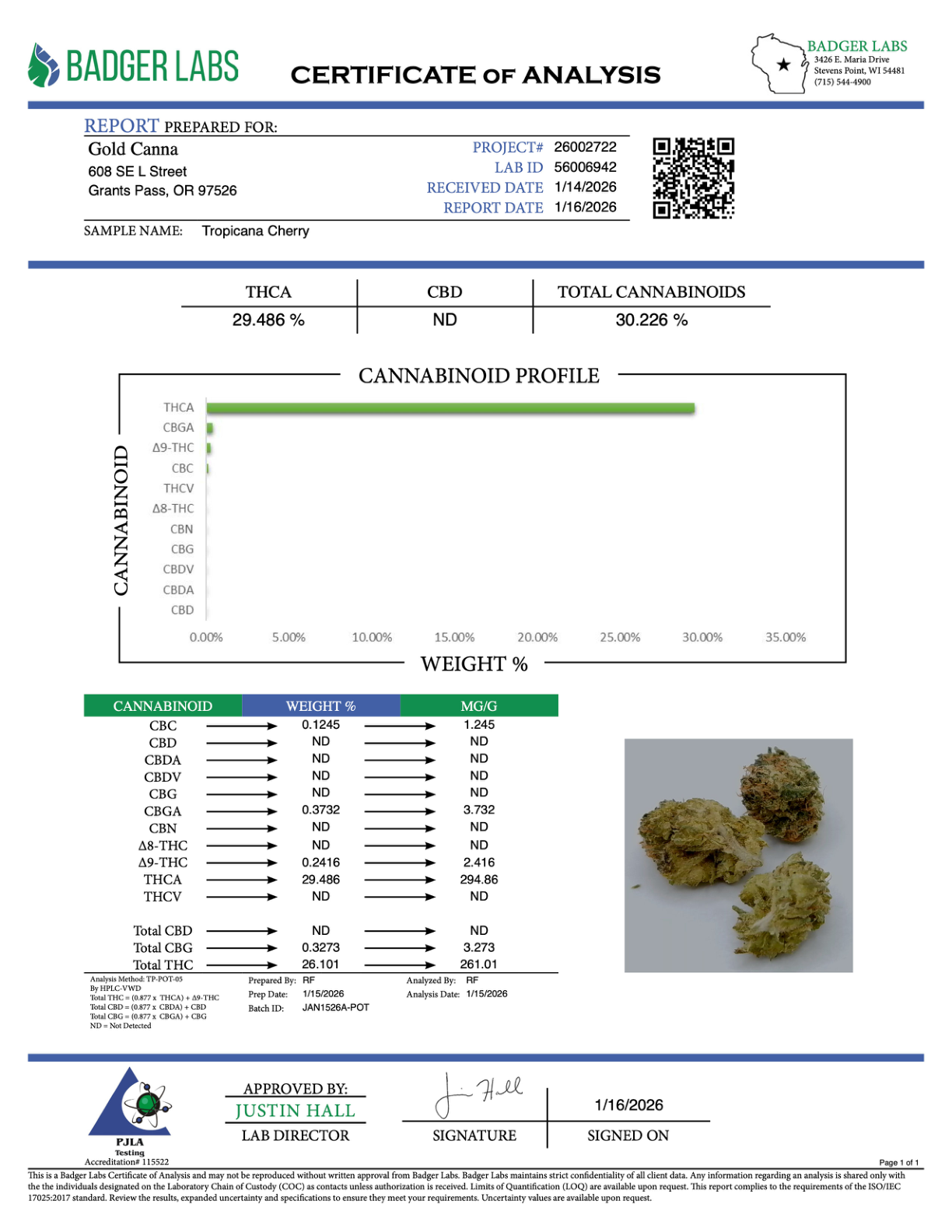 Tropicana Cherry – Bulk THCA Flower (Indoor Pounds) 2 Tropicana Cherry – Bulk THCA Flower (Indoor Pounds) - Image 2