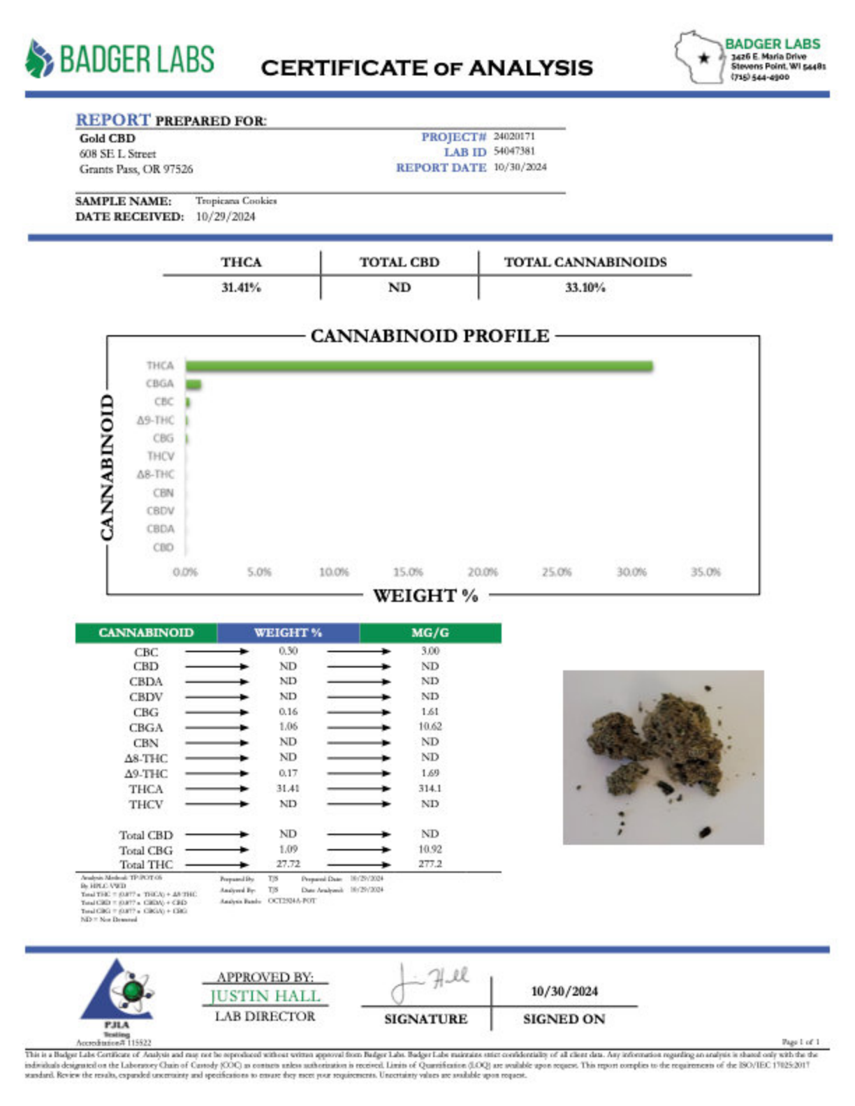 Tropicana Cookies – Bulk THCA Flower 2 Tropicana Cookies – Bulk THCA Flower - Image 2