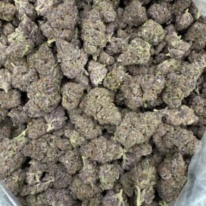 Tropicana Cookies – Bulk THCA Flower (Indoor Pounds)