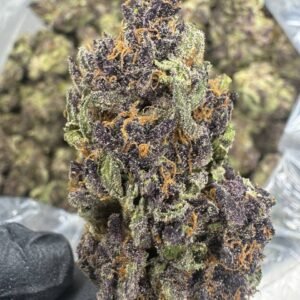 Tropicana Cherry – Bulk THCA Flower (Sungrown Pounds)