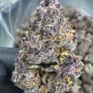Tropicana Cherry – Bulk THCA Flower (Indoor Pounds)