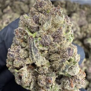 Tropicana Cookies – Bulk THCA Flower