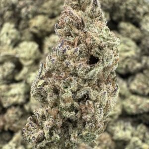 Venom OG – Bulk THCA Flower (Greenhouse Pounds)